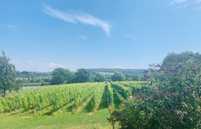 Korte trip naar Zuid-Limburg