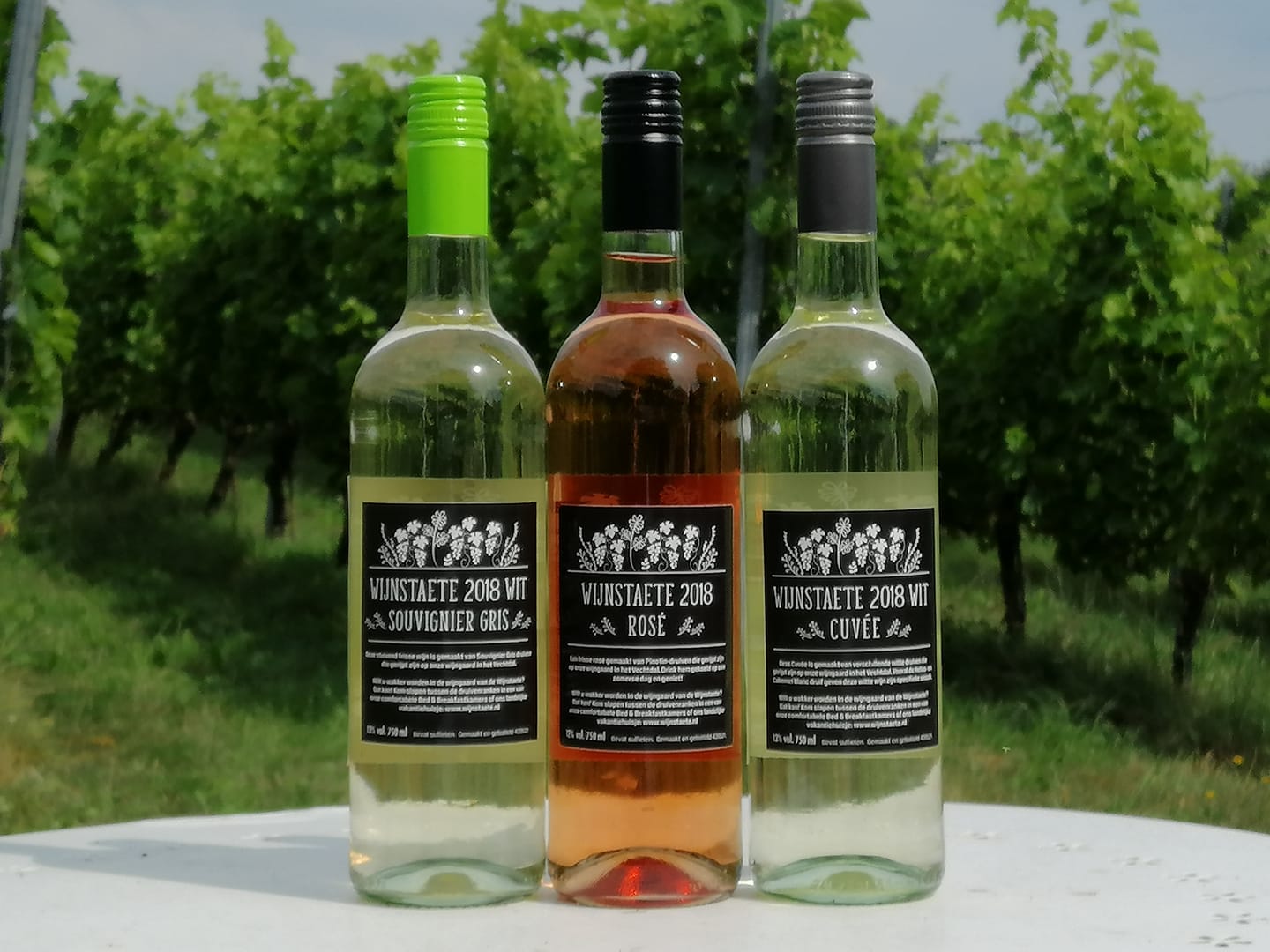 De Wijnstaete rosé 2018 - De Wijnstaete 2018