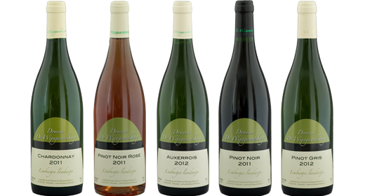 Pinot Noir Rosé - Domein Wijngaardsberg 2011