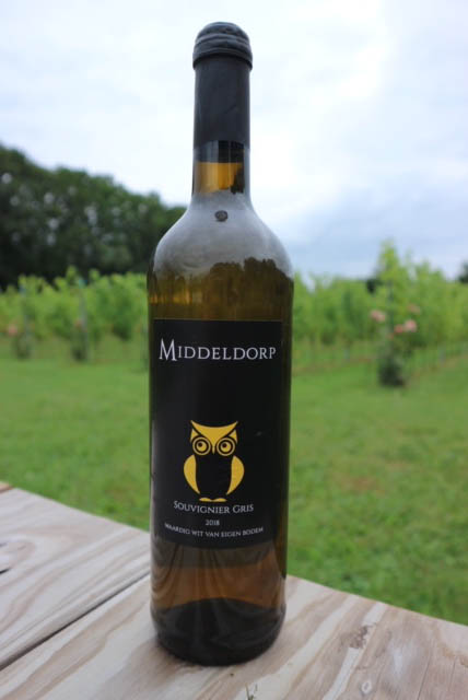 Souvignier Gris - Wijnhoeve Middeldorp