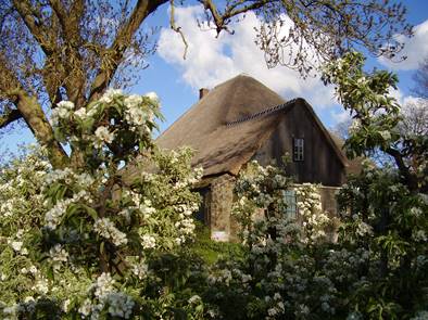 De Swanenplaats
