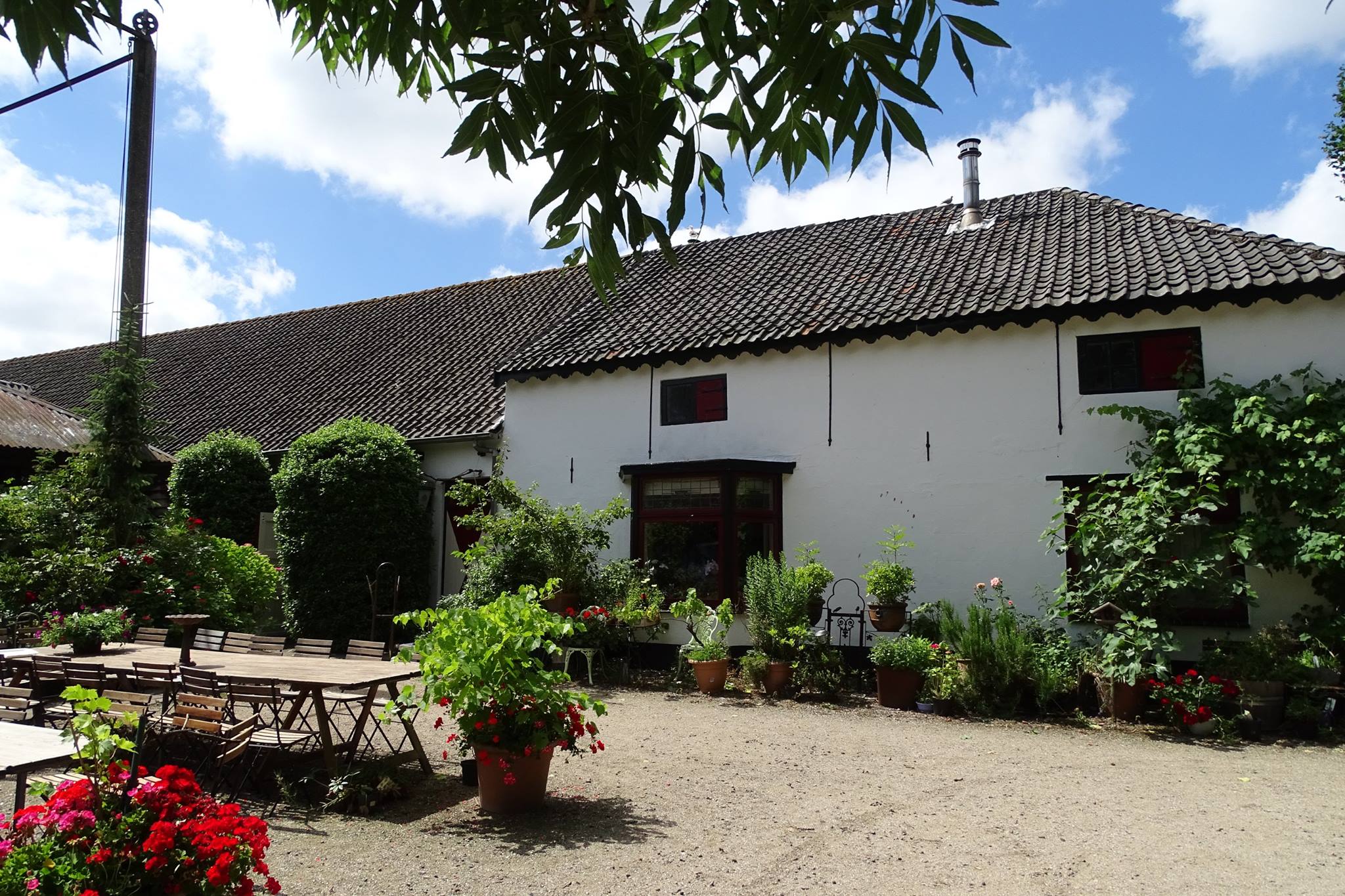 de wijnboerderij Vlaardingen