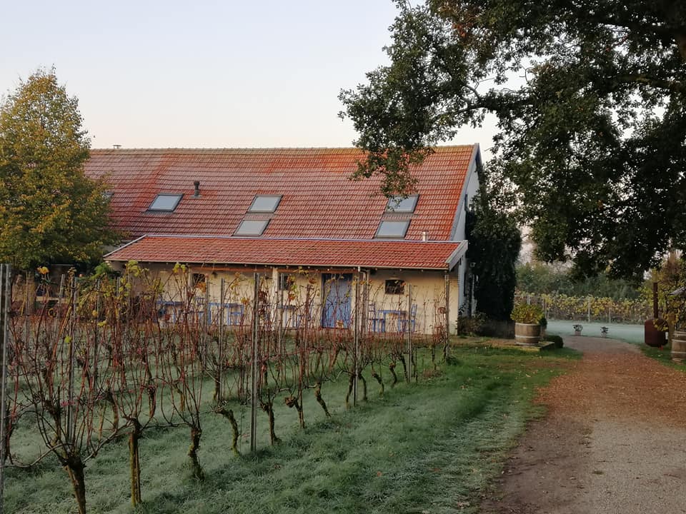 De Wijnstaete