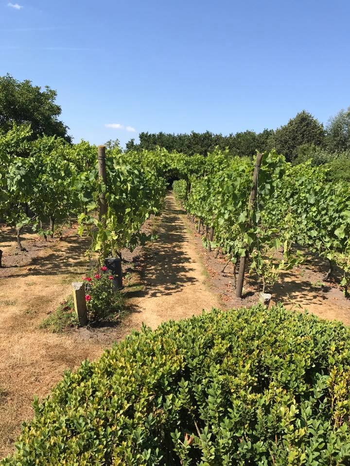Domaine d'Heerstaayen