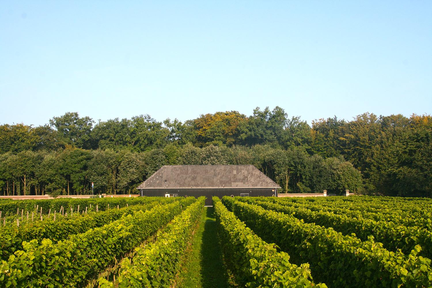 Domein Hof te Dieren