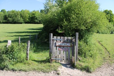 St. Hubertus  &  St. Cunibertus