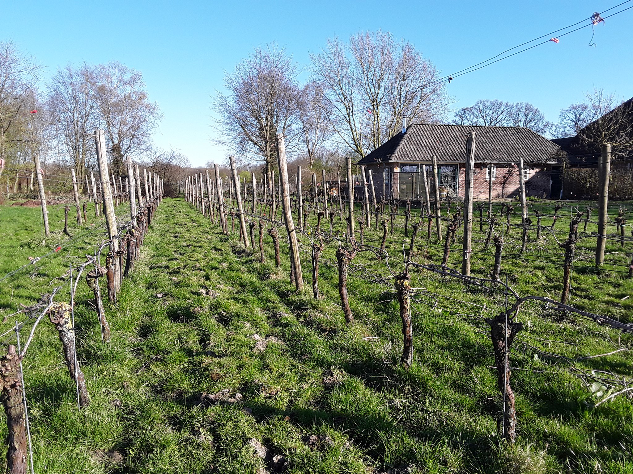Wijnboerderij ’t Heekenbroek