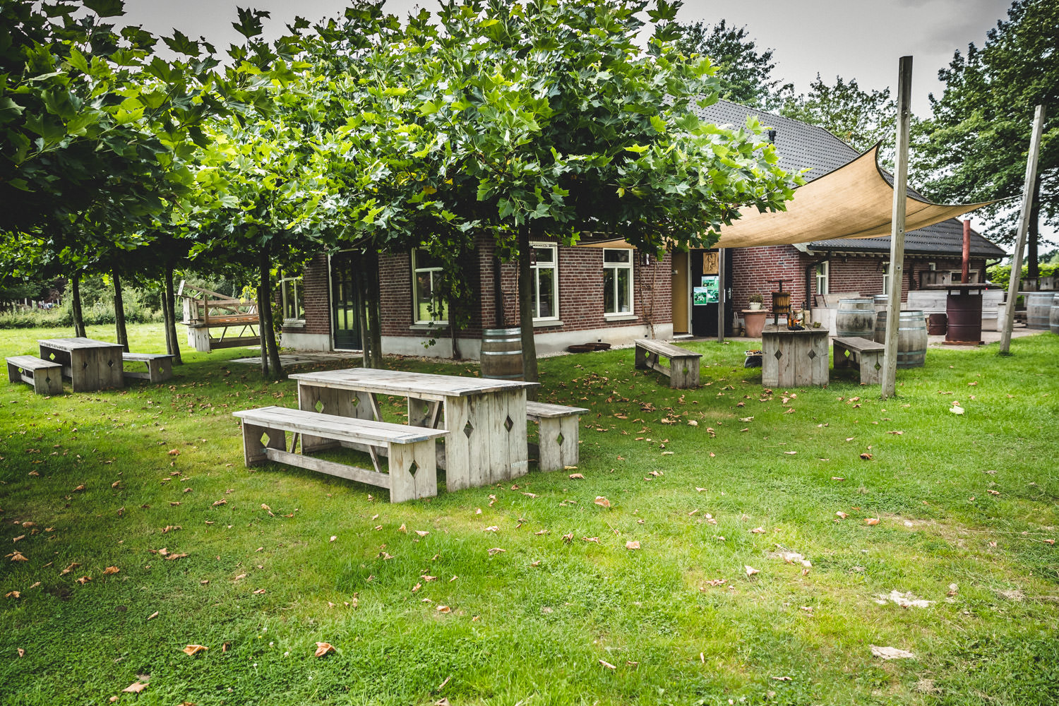 Wijngaard Montferland