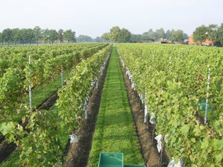 Wijnhoeve Kunneman